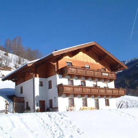 Appartements Hartlbauer Dorfgastein Kültér fotó