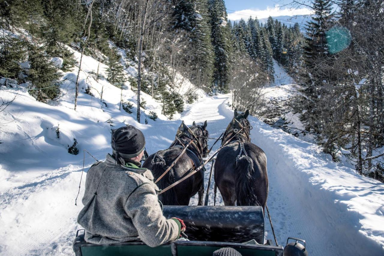 Appartements Hartlbauer Dorfgastein Kültér fotó